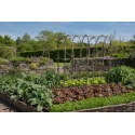 Comment mettre en place la rotation des cultures au potager ?