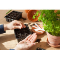 Jardin en mars : top départ des semis !