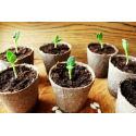Avril : un mois important pour le jardinier
