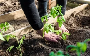 Nos conseils pour réussir ses travaux au jardin en mai