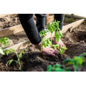 Nos conseils pour réussir ses travaux au jardin en mai