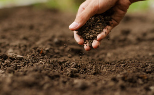 Comment nourrir la terre de son potager ?