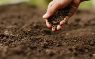 Comment nourrir la terre de son potager ?