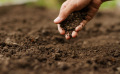 Comment nourrir la terre de son potager ?