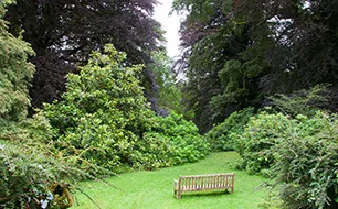 Conseils pour réussir votre jardin d’ornement