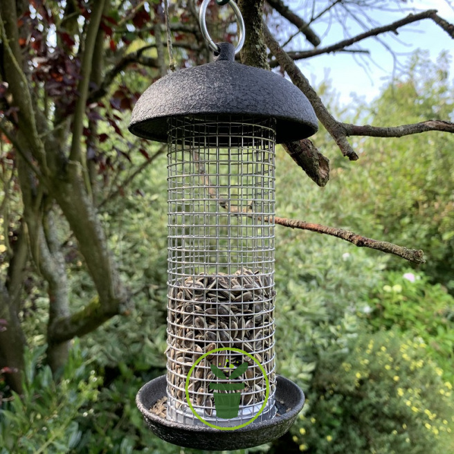 Graines de tournesol strié et noir pour oiseaux du jardin