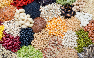 Qu’est-ce qu’une graine ?