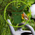 Les 6 plantes qui nourrissent les oiseaux