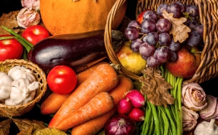 Le potager en octobre : travaux et semis à réaliser