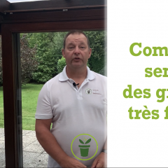 Comment bien semer des graines très fines ? Comment bien semer des graines très fines ?