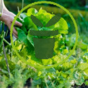 Comment blanchir ses légumes d’hiver au potager ?