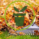 Jardinage en novembre : s’occuper de ses légumes, fleurs et arbustes