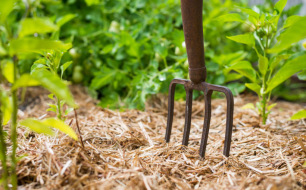 Comment préparer et protéger le potager pour l’hiver ? Comment préparer et protéger le potager pour l’hiver ?