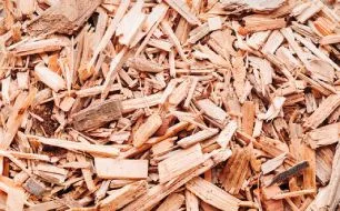 Les différentes utilisations du Bois Raméal Fragmenté pour enrichir votre sol