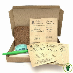 Fleurs vivaces rampantes  – pack de 5 variétés