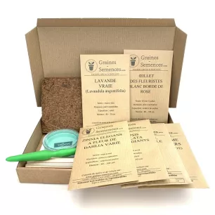 Fleurs à couper  – pack de 5 variétés