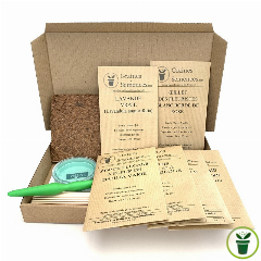 Fleurs à couper  – pack de 5 variétés