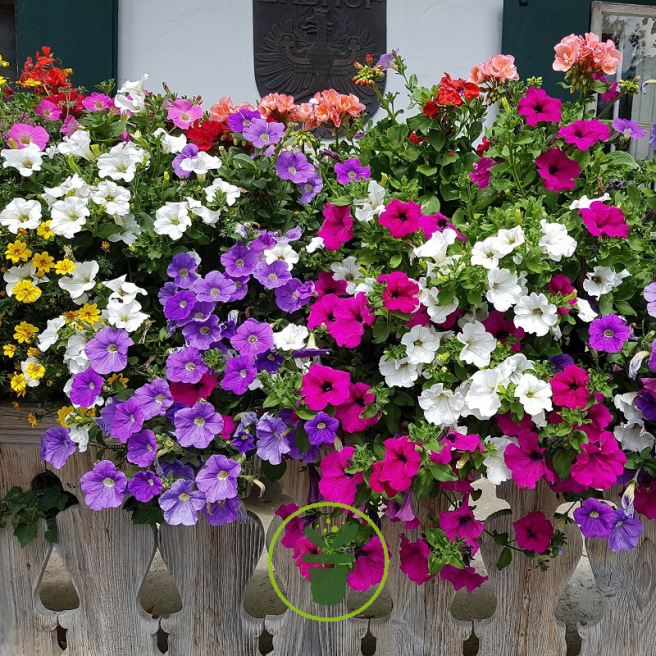 Jardinière, Bac à fleurs