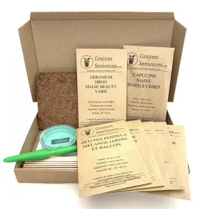 Fleurs pour jardinières et pots – pack de 7 variétés