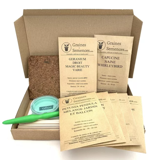 Fleurs pour jardinières et pots – pack de 7 variétés