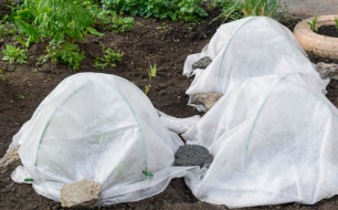 Conseils pour protéger mes plantes du gel Conseils pour protéger mes plantes du gel