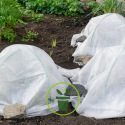 Conseils pour protéger mes plantes du gel