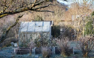 Quels travaux réaliser au potager au mois de janvier ?