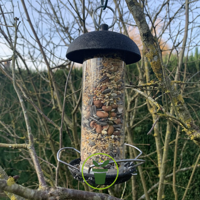 Mangeoire à graines pour les oiseaux du jardin