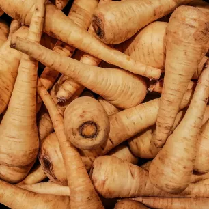 Panais de Guernesey BIO 3 grammes