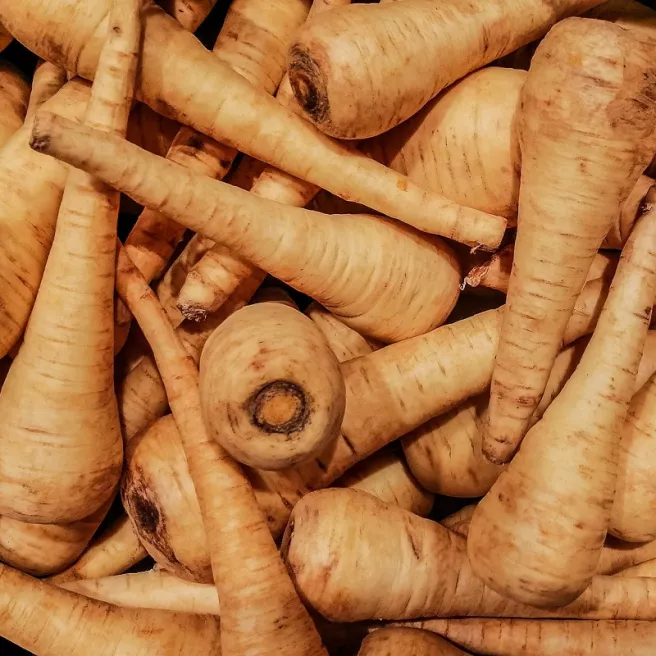 Panais de Guernesey BIO 3 grammes