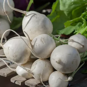 Navet Potager Blanc BIO 3 grammes