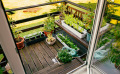 Les plantes aromatiques : cultiver les condimentaires en balcon ou en terrasse