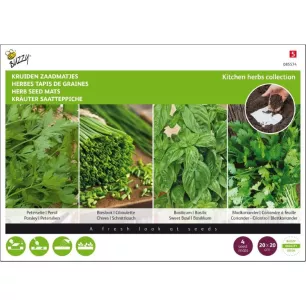 Tapis de graines plantes aromatiques