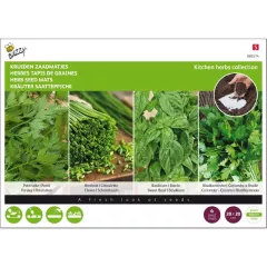 Plantes aromatiques - 4 tapis de graines présemés