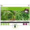 Plantes aromatiques - 4 tapis de graines présemés