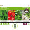 Légumes pour salades d’été - 4 tapis de graines présemés