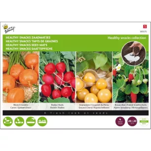 Légumes pour l’apéro - 4 tapis de graines présemés