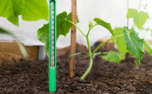 Pourquoi semer en mars ? Jardinez selon la température de votre région