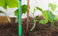 Pourquoi semer en mars ? Jardinez selon la température de votre région