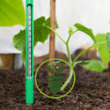 Pourquoi semer en mars ? Jardinez selon la température de votre région