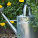 Chaleur et sécheresse : comment bien protéger vos plantes au jardin ?