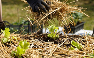 5 conseils pour économiser l’eau au jardin 5 conseils pour économiser l’eau au jardin