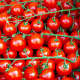 Tomate cerise Sweetie BIO