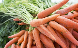 Jardiner en octobre : quels semis et conseils du mois ?