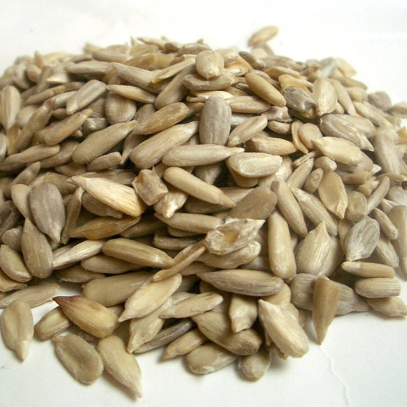 Graines de tournesol décortiquées pour oiseaux Grain de Vie - 3 kg