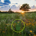 Que faire pour le climat ? L’exemple de votre spécialiste en graines de fleurs et de légumes