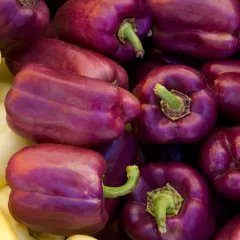 Poivron Bell 25 graines