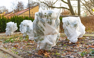 Décembre au jardin : préparez la saison hivernale