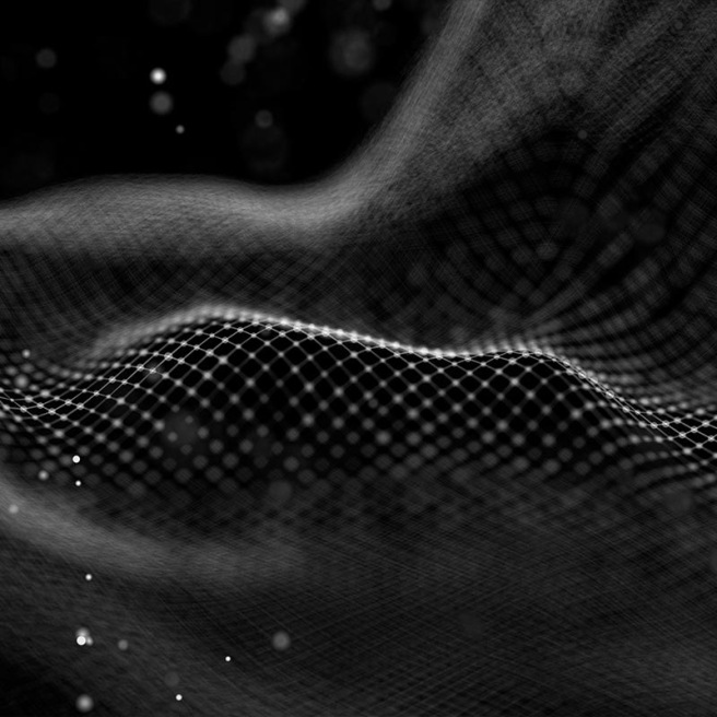 Graines de Rudbeckia pourpre – Echinacea purpurea