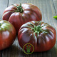 Tomate Noire Russe 30 graines